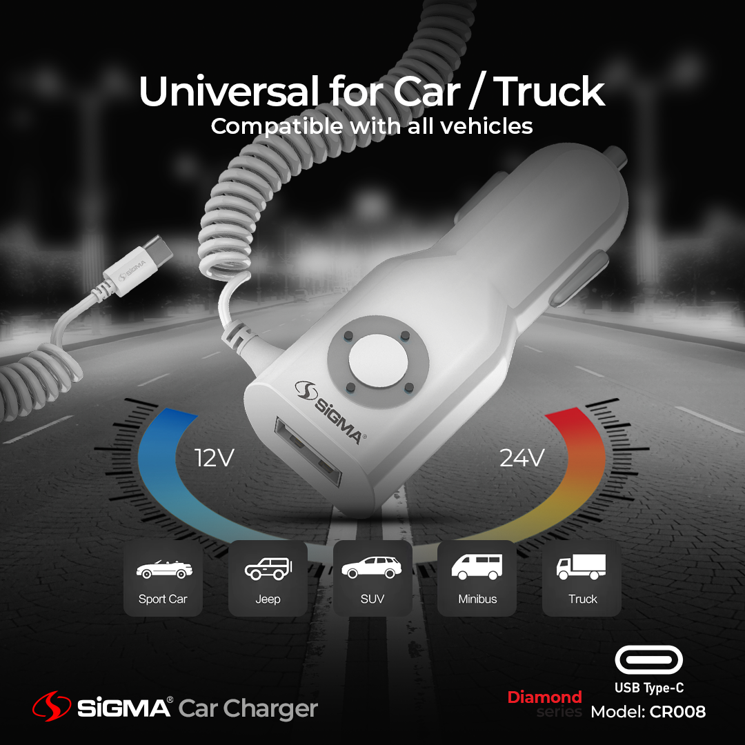 Diamond_Series_Type_-_C_Car_Fast_Charger.png